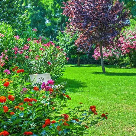 Chez Walter Ξενοδοχείο Lucciana (Corsica)